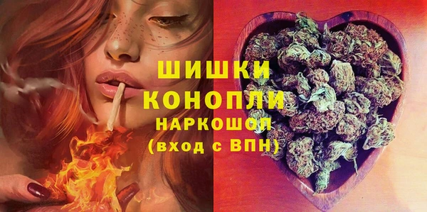 шишки Верея